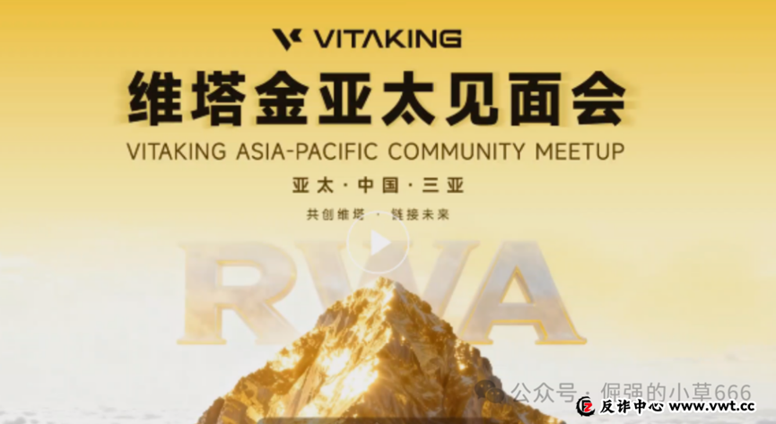 黄金梦碎：维塔金（VITAKING）背后的血色收割